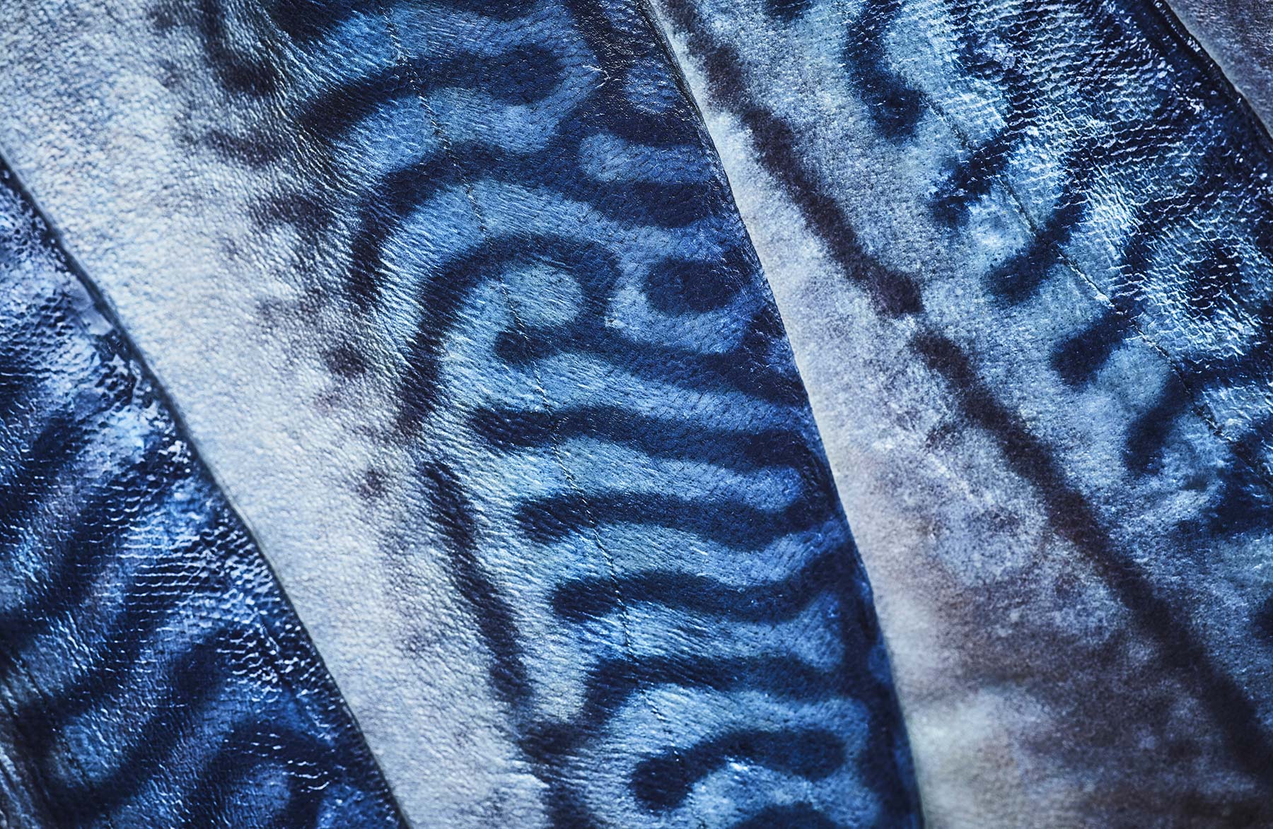 Norwegian Mackerel